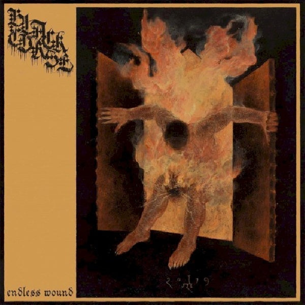 Black Curse - Endless wound (LP) - Discords.nl