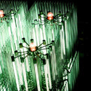 Merzbow - Cat of shell vol.2 (CD) - Discords.nl