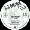 Imagination - Sunshine / Streetmix (12" Tweedehands)