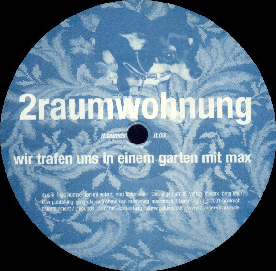 2raumwohnung - Wir Trafen Uns In Einem Garten Mit Max (LP Tweedehands)