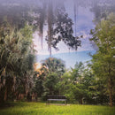 Fifty Foot Wave - Black pearl (CD) - Discords.nl