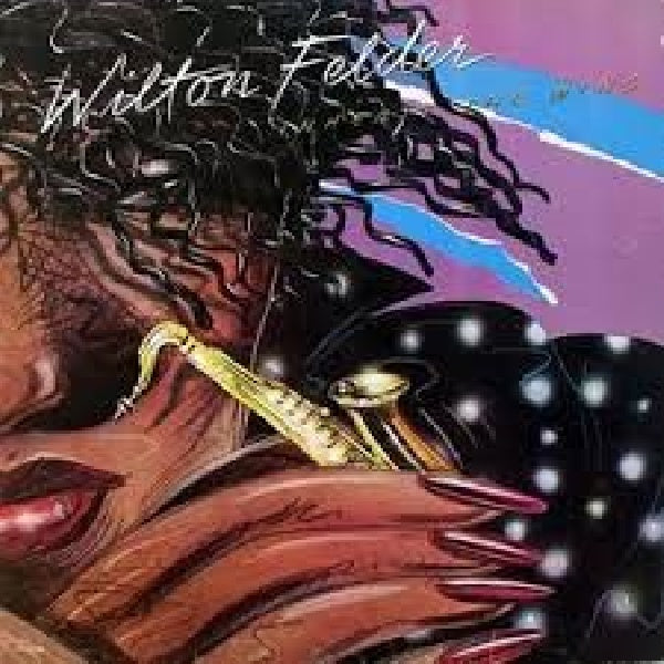 Wilton Felder - We all have a star/ inherit the wind (CD) - Discords.nl