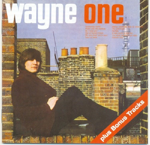 Wayne Fontana - Wayne one (CD)