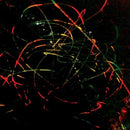 Beat Spacek - Modern streets (CD) - Discords.nl