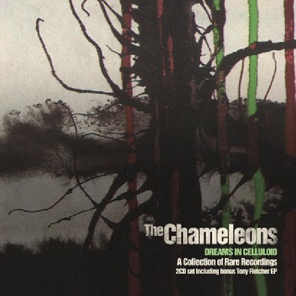 Chameleons - Dreams in celluloid (CD) - Discords.nl