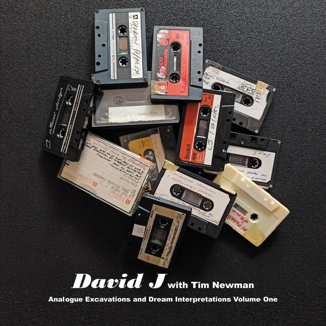 David J With Tim Newman - Analogue excavations & dream interpretations vol.1 (LP) - Discords.nl