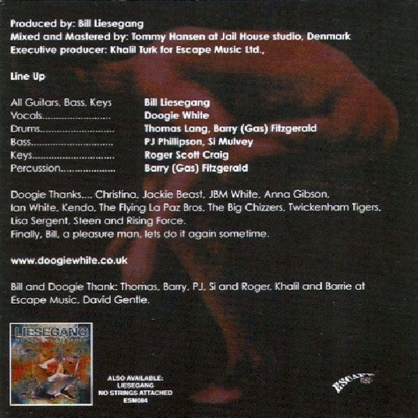 Liesegang/white - Visual surveillance of ex (CD) - Discords.nl