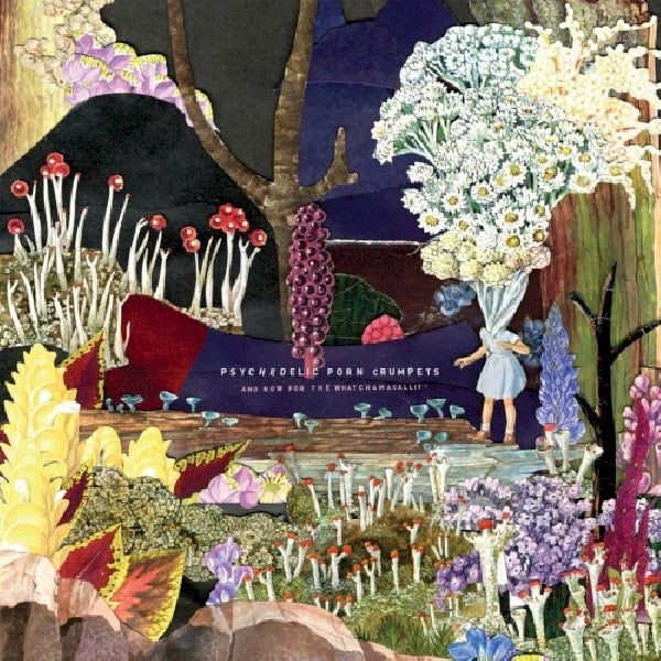 Psychedelic Porn Crumpets - And now for the whatchamacallit (CD) - Discords.nl