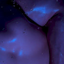 Sinjin Hawke & Zora Jones - Vicious circles (12-inch) - Discords.nl