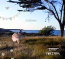 Emily Portman - Glamoury (CD) - Discords.nl