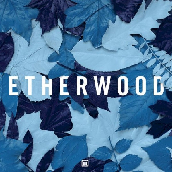 Etherwood - Blue leaves (CD) - Discords.nl