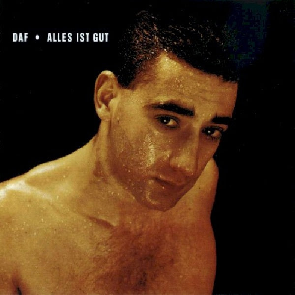 Daf - Alles ist gut (CD)