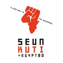 Seun Kuti & Egypt 80 - A long way to the beginning (CD) - Discords.nl