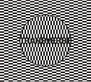 Carter Tutti Void - Transverse (CD) - Discords.nl