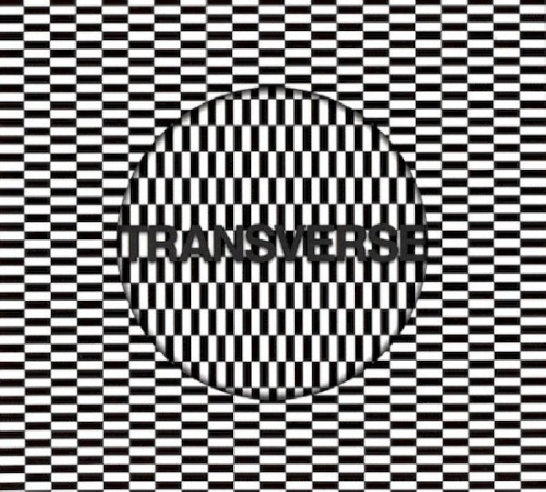 Carter Tutti Void - Transverse (CD) - Discords.nl
