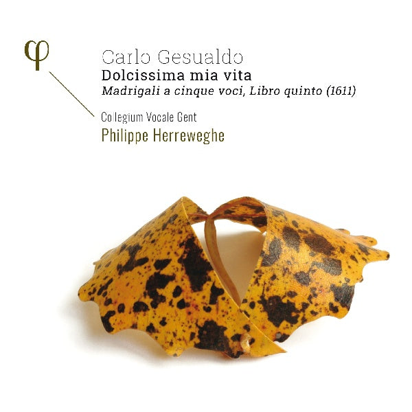 Collegium Vocale Gent / Philippe Herreweghe - Gesualdo: madrigali a 5 voci, libro quinto (1611) (CD) - Discords.nl