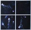 Swans - Swans - My Father Will Guide Me Up A Rope To The Sky  (LP) - Discords.nl