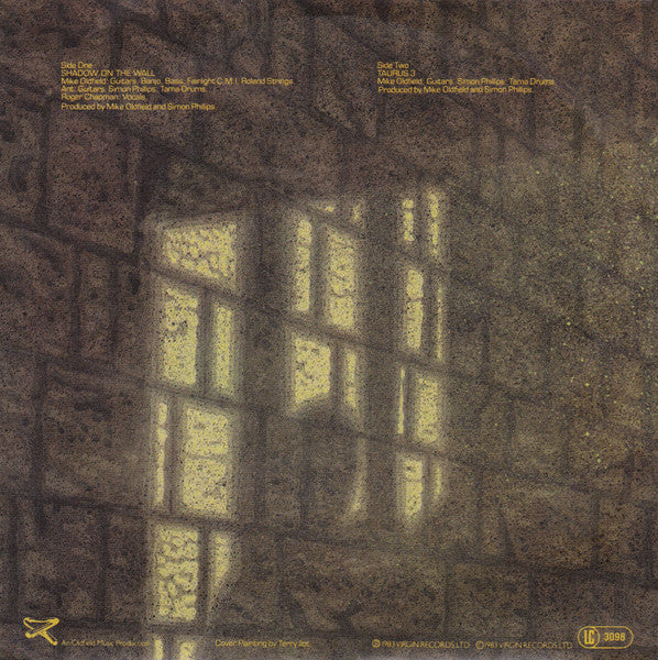 Mike Oldfield And Roger Chapman - Shadow On The Wall (7-inch Tweedehands)