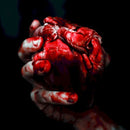 Forgotten Tomb - We owe you nothing (CD) - Discords.nl