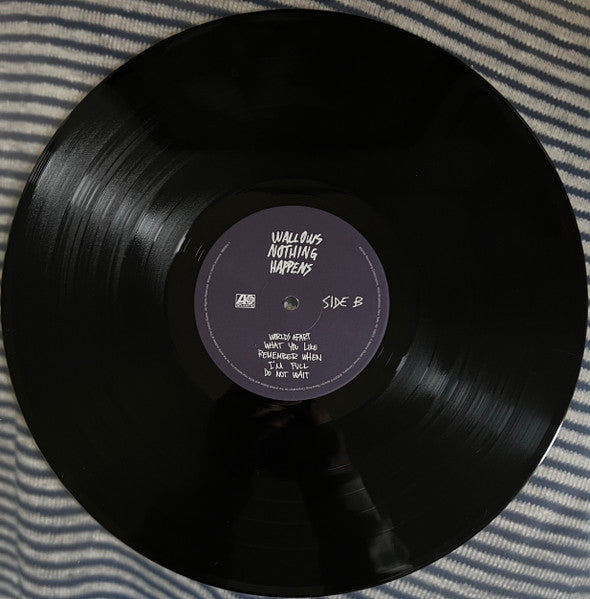 Wallows - Nothing Happens (LP) - Discords.nl