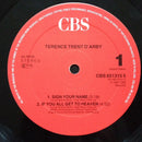 Terence Trent D'Arby - Sign Your Name (Lee 'Scratch' Perry Remixes) (12" Tweedehands)