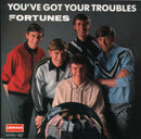 Fortunes, The - You've Got Your Troubles (CD Tweedehands)