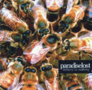 Paradise Lost - Believe In Nothing (CD Tweedehands) - Discords.nl
