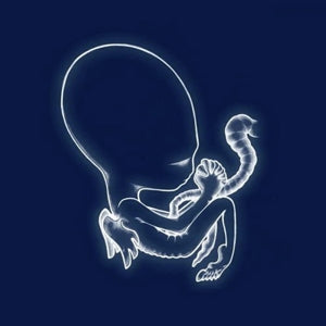 Sigur Ros - Agaetis Byrjun (LP) - Discords.nl