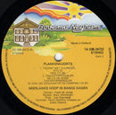 Neerlands Hoop In Bange Dagen - Plankenkoorts (LP Tweedehands) - Discords.nl