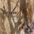 Deborah Martin & Erik Wollo - Between worlds (CD) - Discords.nl