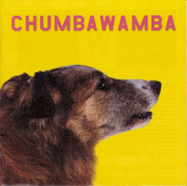 Chumbawamba - What you see is what you get (CD) - Discords.nl