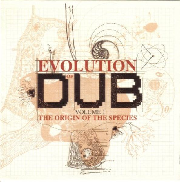 King Tubby - The evolution of dub vol.1 (boxset) (CD) - Discords.nl