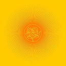 Ryan Adams - Easy tiger (LP) - Discords.nl