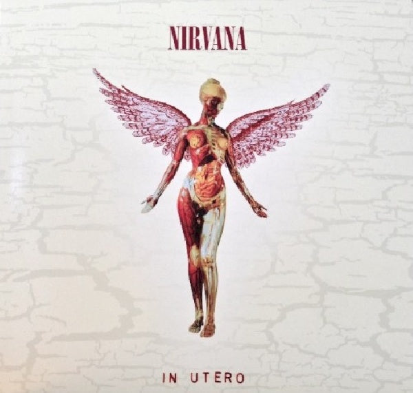 Nirvana - In utero -20th anniversary (LP)