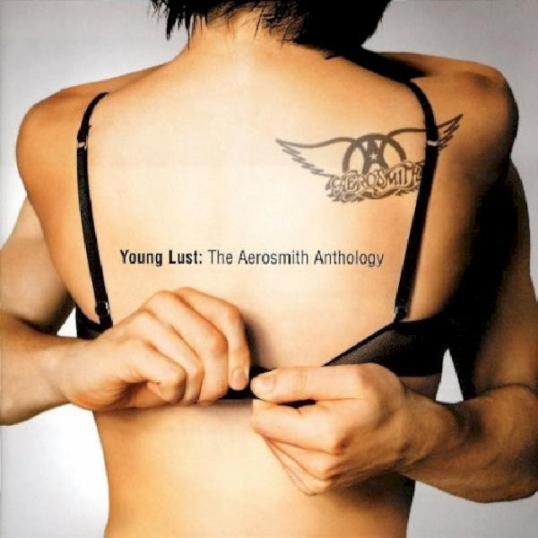 Aerosmith - Young lust the aerosmith (CD)