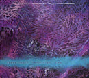 Steve Roach - Immersion: two (CD) - Discords.nl