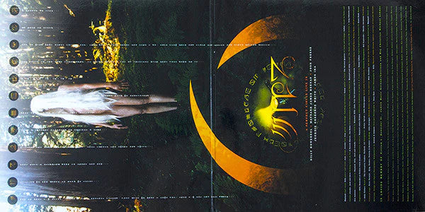 A Perfect Circle - Thirteenth Step  (LP) - Discords.nl