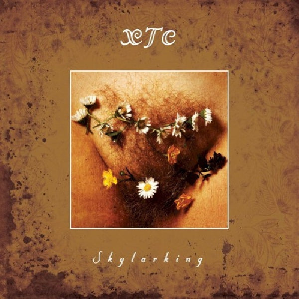 Xtc - Skylarking (CD) - Discords.nl