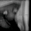 Visions - Temples (CD) - Discords.nl