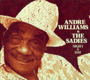 Andre Williams & Sadies - Night & day (CD) - Discords.nl