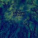 Dead Confederate - In the marrow (CD) - Discords.nl