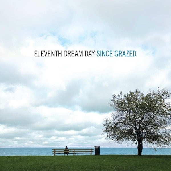 Eleventh Dream Day - Since grazed (LP) - Discords.nl