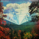 Tame Impala - Innerspeaker  (LP) - Discords.nl