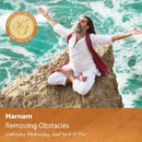 Harnam - Removing obstacles (CD) - Discords.nl