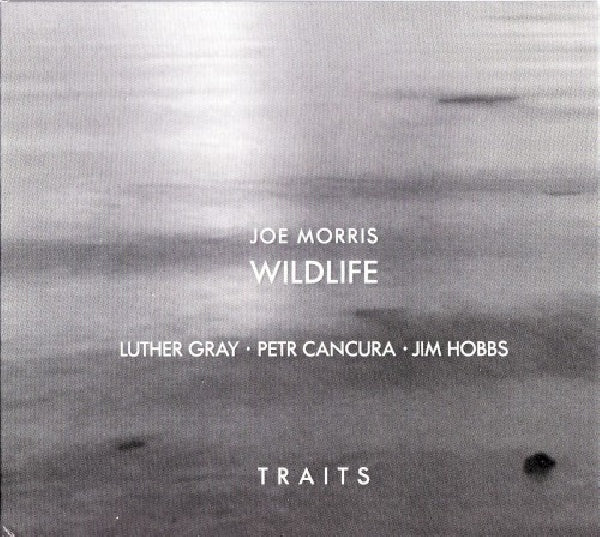 Joe Morris /wildlife - Traits (CD) - Discords.nl
