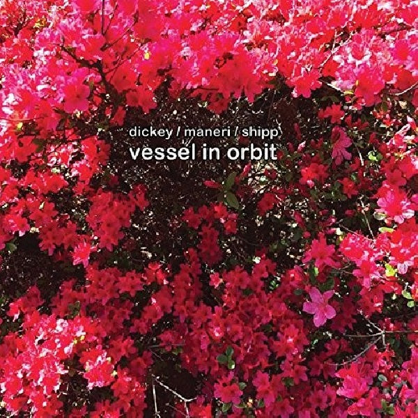 Matthew Shipp - Vessel in orbit (CD) - Discords.nl