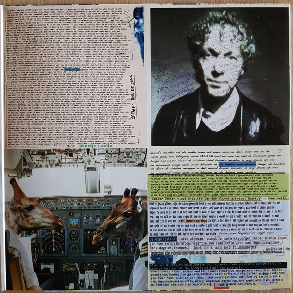 Spinvis - Dagen Van Gras, Dagen Van Stro  (LP) - Discords.nl