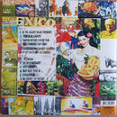 Spinvis - Dagen Van Gras, Dagen Van Stro  (LP) - Discords.nl