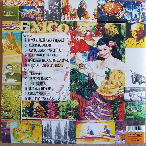 Spinvis - Dagen Van Gras, Dagen Van Stro  (LP) - Discords.nl