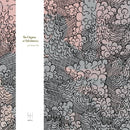 Six Organs Of Admittance - For octavio paz (LP) - Discords.nl